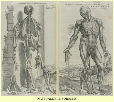 mutally informed